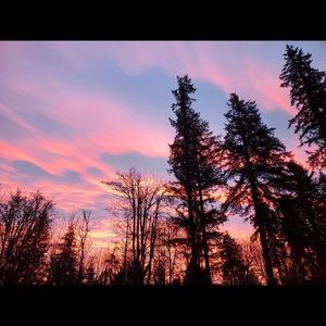 Meet your Posher, Kaitlin